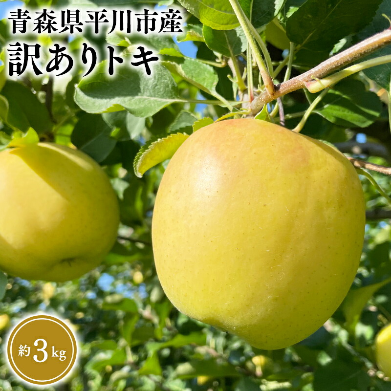 【ふるさと納税】≪2026年9月中旬頃より発送≫青森県産 訳あり トキ 約3kg【青森県 平川市 なるみ農園】家庭用 訳アリ 青森 青森県産 平川 りんご リンゴ 林檎 くだもの 果物 フルーツ レビューキャンペーン