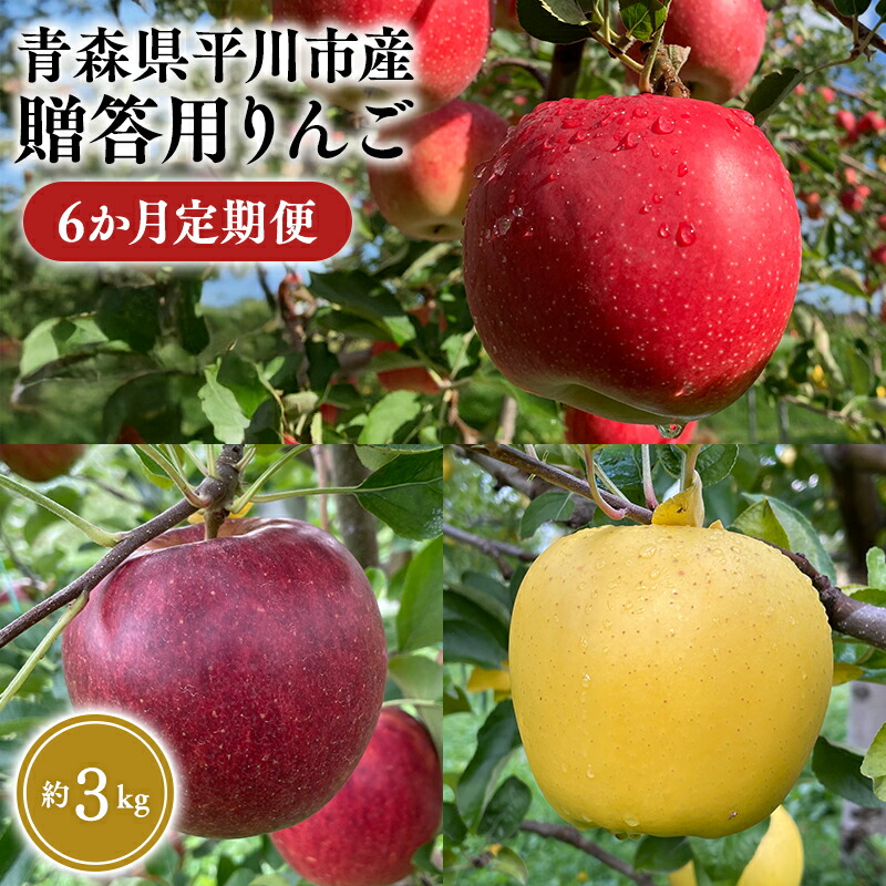 【ふるさと納税】≪2026年8月下旬頃より発送≫青森県産 贈答用りんご 6か月定期便 約3kg【青森県 平川市 なるみ農園】贈答 贈答規格 青森 青森県産 平川 りんご リンゴ 林檎 くだもの 果物 フルーツ レビューキャンペーン