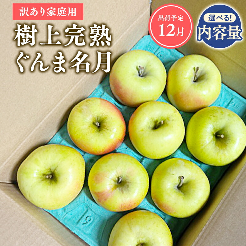 ふるさと納税 1〜3月 贈答用 キラ農法 特選クラス 完熟りんご サンふじ約3kg  青森県平川市 11～12月 贈答用 キラ農法 特選クラス 完熟りんご サンふじ約3kg 青森りんご・平川市広船産・11月・12月