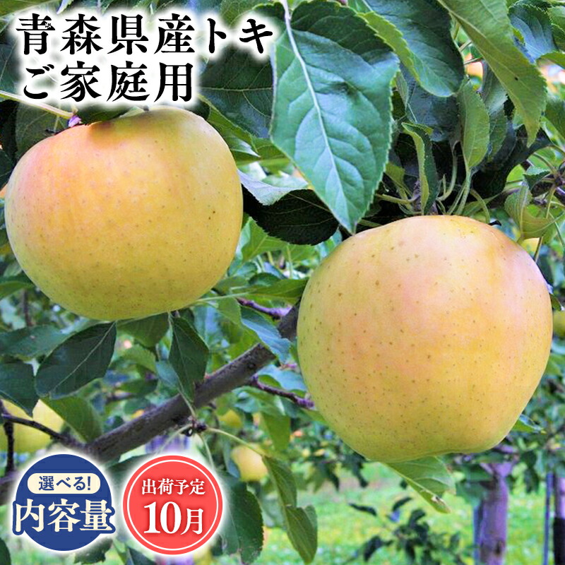 【ふるさと納税】≪内容量が選べる!≫青森県産 訳あり トキ 3kg 5kg 10kg【青森県 平川市 そと川りんご園】１０月発送 家庭用 青森 青森県産 平川 りんご リンゴ 林檎 くだもの 果物 フルーツ レビューキャンペーン