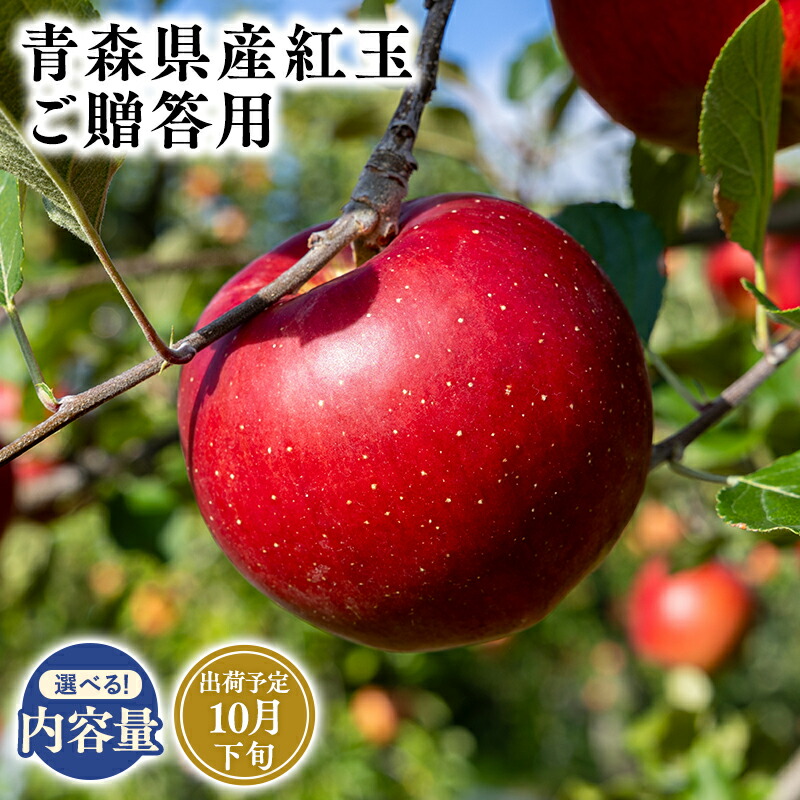 【ふるさと納税】≪内容量が選べる!≫青森県産 贈答用 紅玉 3kg 5kg 10kg【青森県 平川市 そと川りんご園】１０月発送 贈答 青森 青森県産 平川 りんご リンゴ 林檎 くだもの 果物 フルーツ レビューキャンペーン