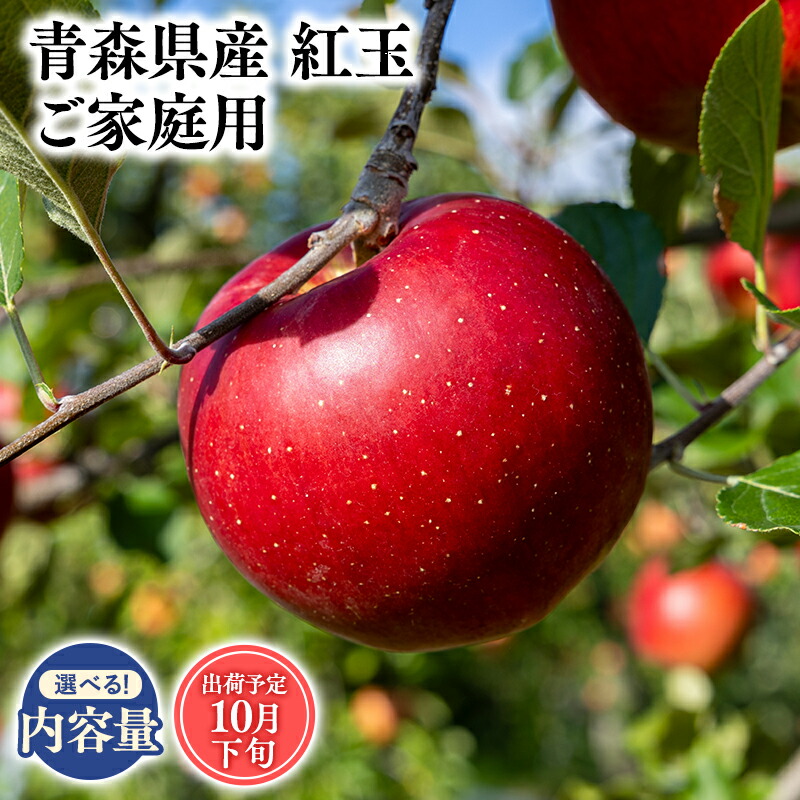 【ふるさと納税】≪内容量が選べる!≫青森県産 訳あり 紅玉 3kg 5kg 10kg【青森県 平川市 そと川りんご園】１０月発送 家庭用 青森 青森県産 平川 りんご リンゴ 林檎 くだもの 果物 フルーツ レビューキャンペーン