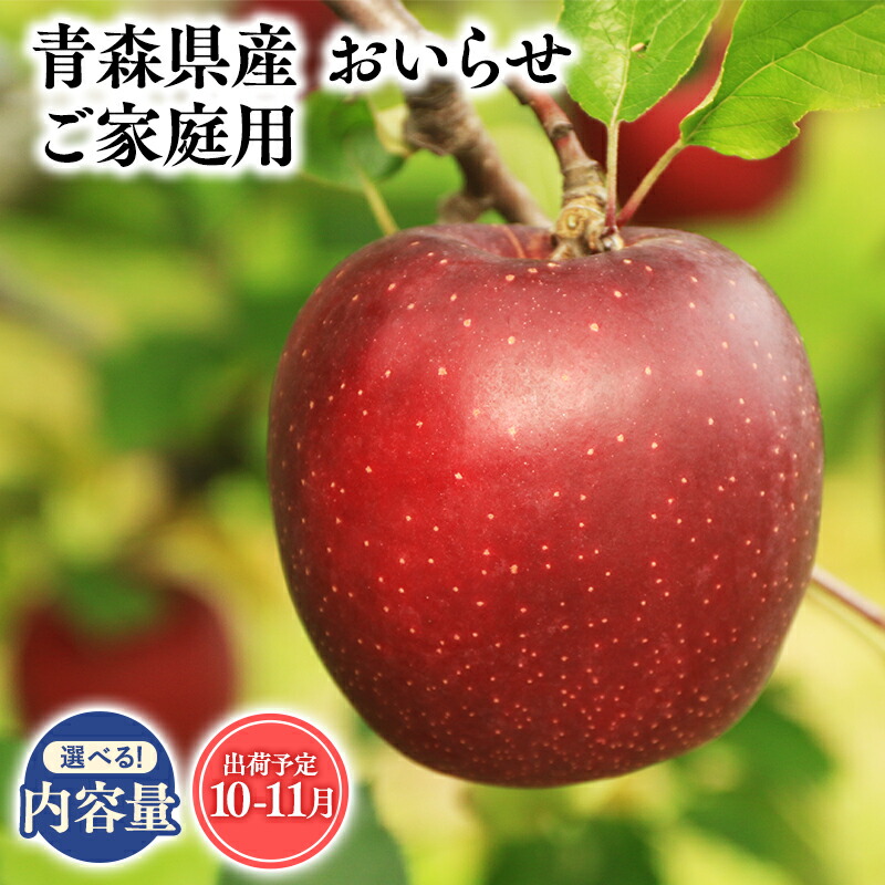 【ふるさと納税】≪内容量が選べる!≫青森県産 訳あり おいらせ 3kg 5kg 10kg【青森県 平川市 そと川りんご園】１０月～１１月発送 家庭用 青森 青森県産 平川 りんご リンゴ 林檎 くだもの 果物 フルーツ レビューキャンペーン