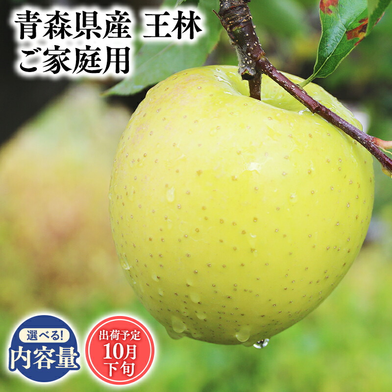 【ふるさと納税】≪内容量が選べる!≫青森県産 訳あり 王林 3kg 5kg 10kg【青森県 平川市 そと川りんご園】１１月～１月発送 家庭用 青森 青森県産 平川 りんご リンゴ 林檎 くだもの 果物 フルーツ レビューキャンペーン