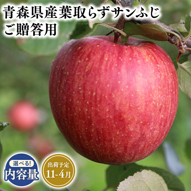 【ふるさと納税】≪内容量が選べる!≫青森県産 贈答用 葉とらずサンふじ 3kg 5kg 10kg【青森県 平川市 そと川りんご園】１１月～４月発送 贈答 青森 青森県産 平川 葉とらず サンふじ ふじ りんご リンゴ 林檎 くだもの 果物 フルーツ レビューキャンペーン