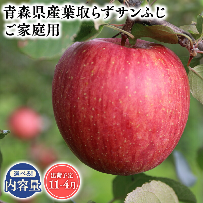 楽天市場】【ふるさと納税】≪令和7年産先行受付≫12月発送 楽天市場】【ふるさと納税】≪令和7年産先行受付≫12月発送