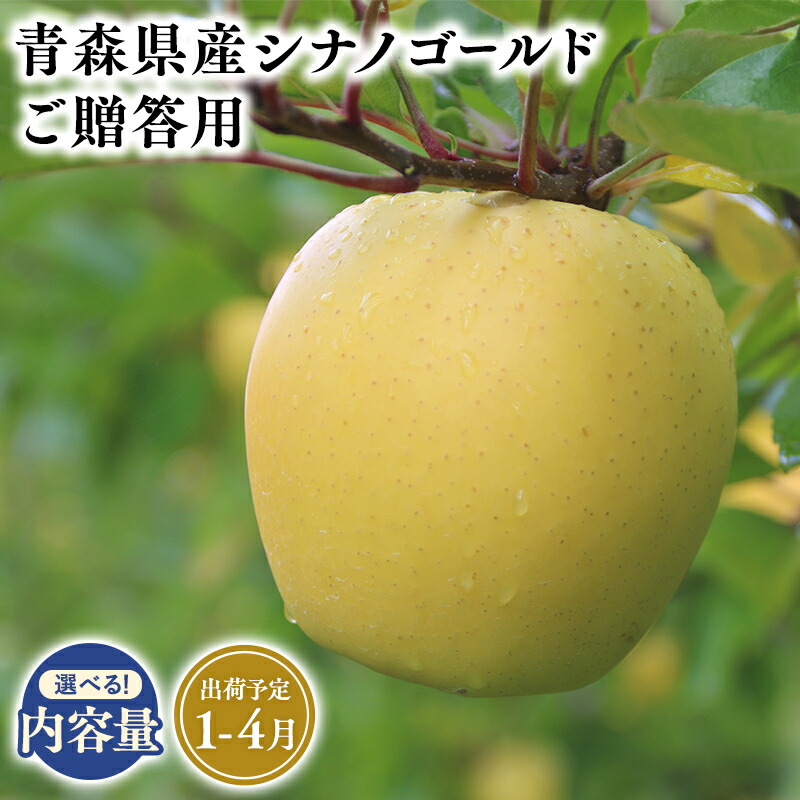 【ふるさと納税】≪内容量が選べる!≫青森県産 贈答用 シナノゴールド 3kg 5kg 10kg【青森県 平川市 そと川りんご園】１月～４月発送 贈答 青森 青森県産 平川 りんご リンゴ 林檎 くだもの 果物 フルーツ レビューキャンペーン