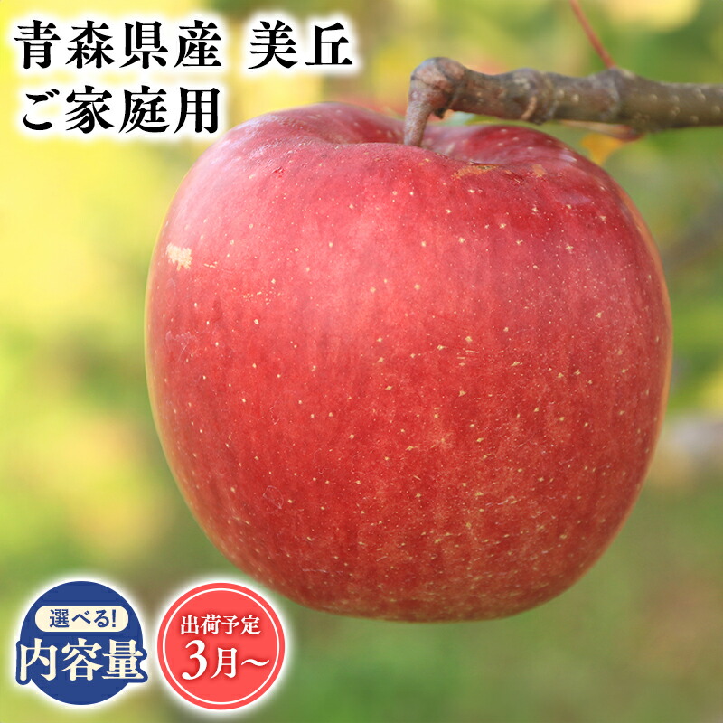 【ふるさと納税】≪内容量が選べる!≫ 青森県産 訳あり 美丘 3kg 5kg 10kg 【青森県 平川市 そと川りんご園】３月～５月発送 家庭用 りんご リンゴ 林檎 くだもの 果物 詰め合わせ 旬 フルーツ ３月 ４月 ５月 青森県産 青森 レビューキャンペーン