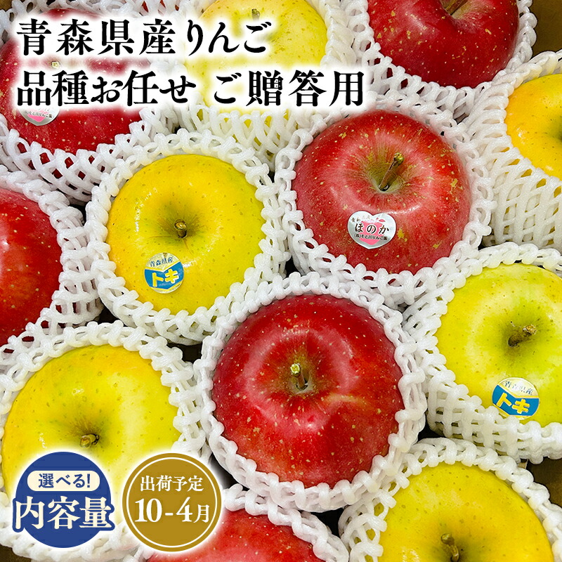 【ふるさと納税】≪内容量が選べる!≫青森県産 贈答用 品種お任せ 旬のりんご詰め合わせ 3kg 5kg 10kg【青森県 平川市 そと川りんご園】贈答 青森 青森県産 平川 りんご リンゴ 林檎 くだもの 果物 フルーツ レビューキャンペーン