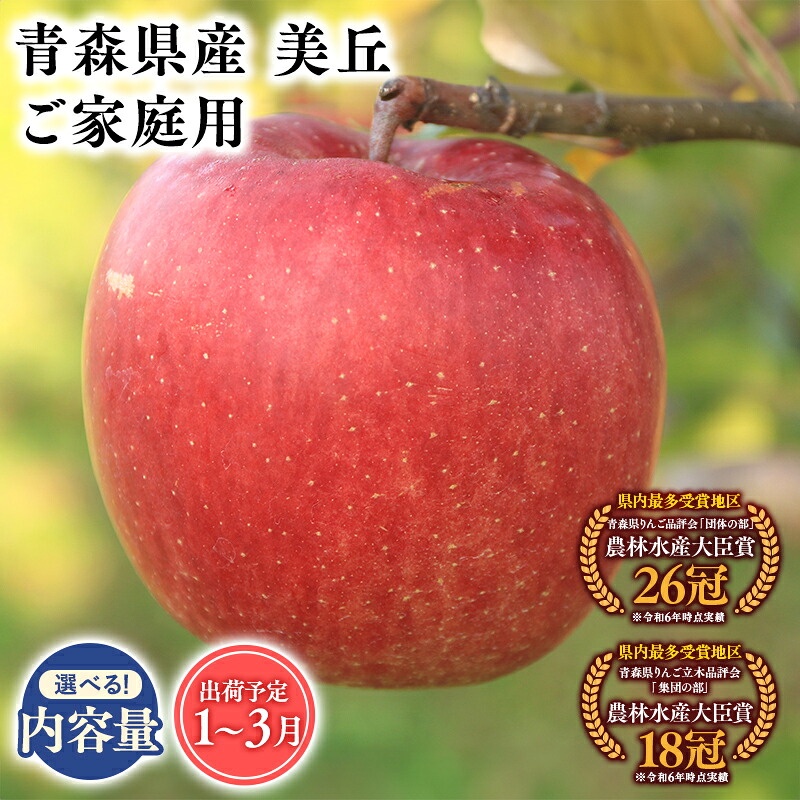 【ふるさと納税】2026年度産 先行予約!≪内容量が選べる≫青森県産 訳あり 美丘 3kg 5kg 10kg【青森県 平川市 そと川りんご園】 家庭用 青森 青森県産 平川 りんご リンゴ 林檎 くだもの 果物 フルーツ｜青森県平川市