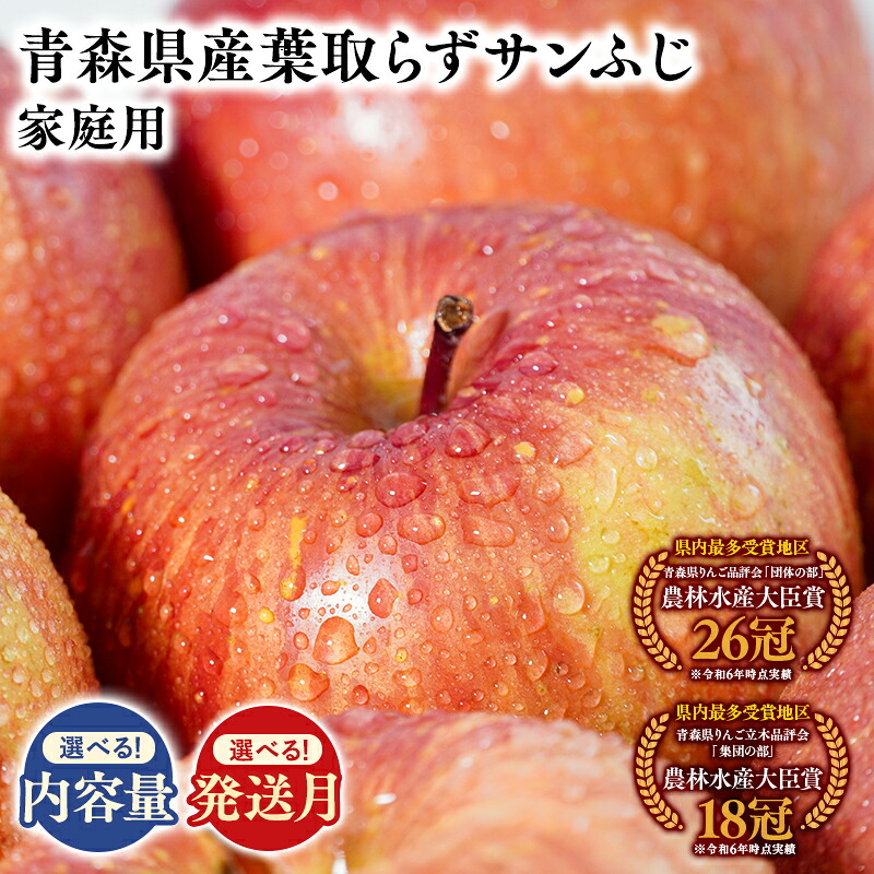 【ふるさと納税】≪内容量と配送月が選べる!≫ 青森県産 訳あり 葉とらずサンふじ 3kg 5kg 10kg 【青森県 平川市 そと川りんご園】11月～4月発送 家庭用 青森 青森県産 平川 りんご リンゴ 林檎 くだもの 果物 フルーツ 葉とらず サンふじ ふじ｜青森県平川市