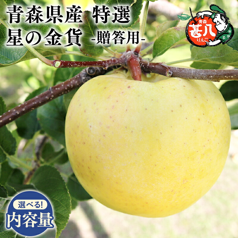 【ふるさと納税】≪内容量が選べる≫青森県産 特選 甚八りんご 星の金貨 3kg 5kg【青森県 平川市 マルジンサンアップル】１１月発送 贈答用 青森 青森県産 平川 りんご リンゴ 林檎 くだもの 果物 フルーツ｜青森県平川市