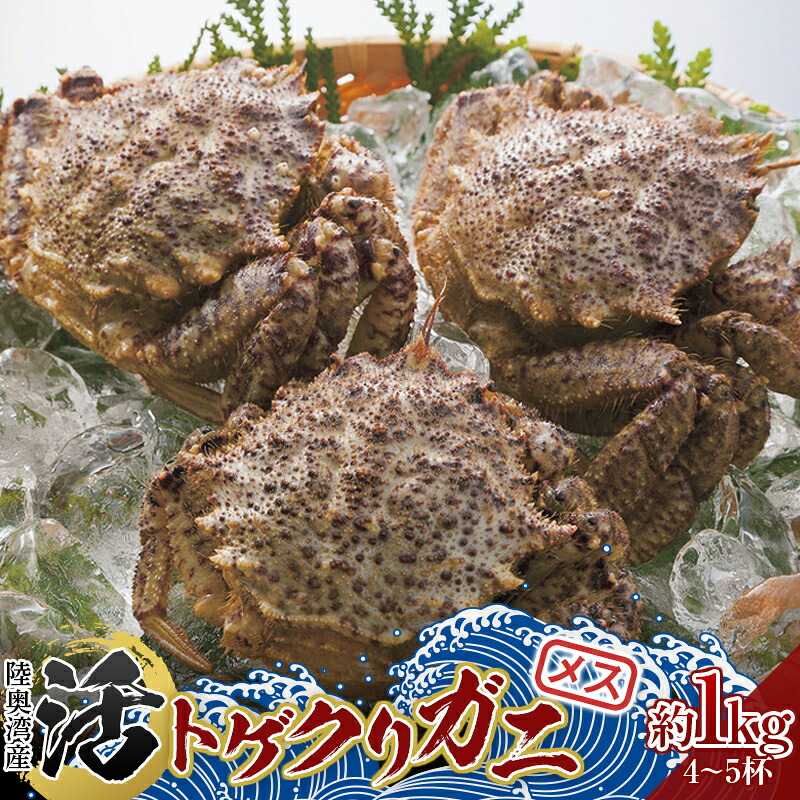 【ふるさと納税】青森県 陸奥湾産 活トゲクリガニ(メス) 約1kg (4～5杯) 《白砂活貝組 琉宝丸》 漁師直送 かに カニ 蟹 魚介 青森 青森県 東北 むつ湾 F21J-178