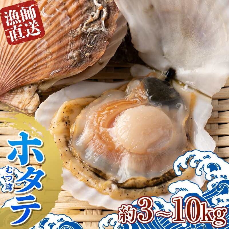 【ふるさと納税】≪容量が選べる≫漁師直送 青森県 むつ湾 ホタテ (2年貝) 約3kg~10kg【龍運丸 水産】 ほたて 帆立 活ホタテ 人気 生ほたて 生ホタテ 刺身 貝 貝柱 殻付き 海鮮 新鮮 ほたて広場 魚介 青森県 平内町 東北 むつ湾 BBQ バーベキュー キャンプ F21J-180var|青森県平内町