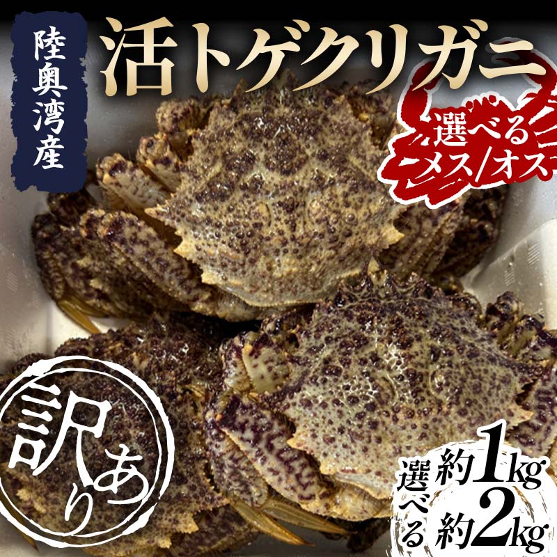 楽天市場】【ふるさと納税】《選べる容量 / 選べるオス・メス》 陸奥湾