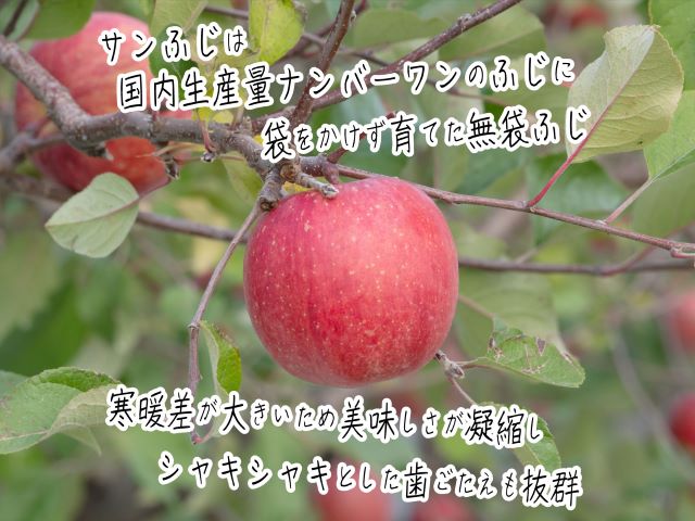 ふるさと納税 青森県鰺ヶ沼池部落作り出すりんご ヒバリノ前栽のサンふじ ほぼ4 5kg 14 18球体 果物種 リンゴの木 りんご りんごの木 お届け 21歳次11月読み10昼 22年1月10日 Marchesoni Com Br