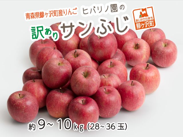 ふるさと納税 理屈アリ 青森県鰺ヶ渥地工作リンゴ ヒバリノ前栽のサンふじ ほとんど9 10kg 28 36粒 果物部類 りんご りんご 林檎 お届け 21齢11月桂10時日 22年1月10日 Marchesoni Com Br