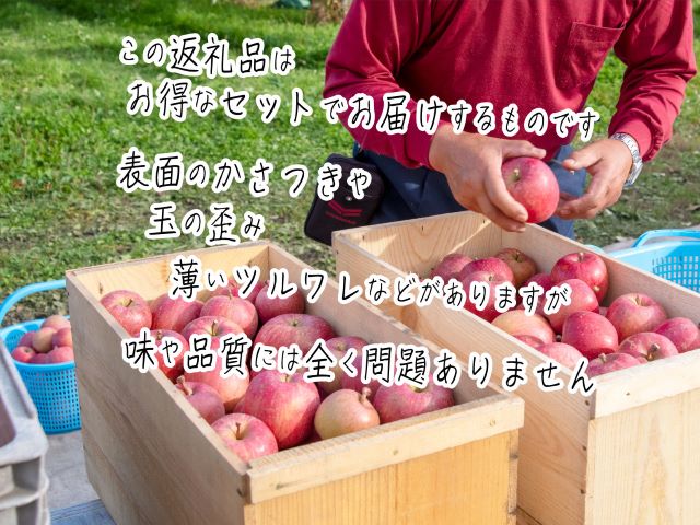 ふるさと納税 理屈アリ 青森県鰺ヶ渥地工作リンゴ ヒバリノ前栽のサンふじ ほとんど9 10kg 28 36粒 果物部類 りんご りんご 林檎 お届け 21齢11月桂10時日 22年1月10日 Marchesoni Com Br