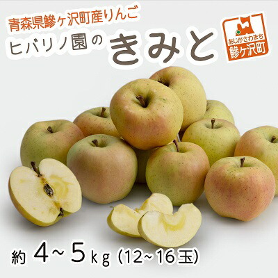ふるさと納税 青森県鰺ヶ沢小さな町生ずるりんご 雲雀ノ園庭のきみと かれこれ4 5kg 12 16宝珠 果物形態 リンゴの木 りんご リンゴ フルーツ お届け 21馬齢12月読1時代 21年12月15日 Citadelofhope Com