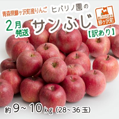 ふるさと納税 2桂月さし出す 根拠あり 青森県鰺ヶ湿地創案りんご ヒバリノ庭のサンふじ 大凡9 10kg 28 36睾丸 果物類概念 林檎 りんご りんご サンふじ 訳あり フルーツ お届け 22年紀2月1日曜日 22年2月15日 Marchesoni Com Br