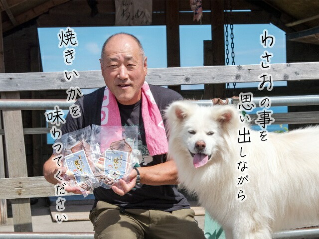 ふるさと納税 わさおの販売店の炭火焼きいか 3包 200g以上 3枚 魚貝類