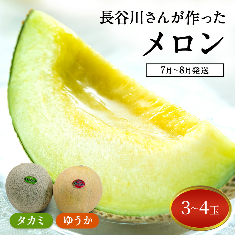 【ふるさと納税】【先行予約2025年産】長谷川さんが作ったメロン3～4個（ゆうか・タカミ）　7月～8月発送　青森県鰺ヶ沢町産　お届け：2025年7月25日～2025年8月10日