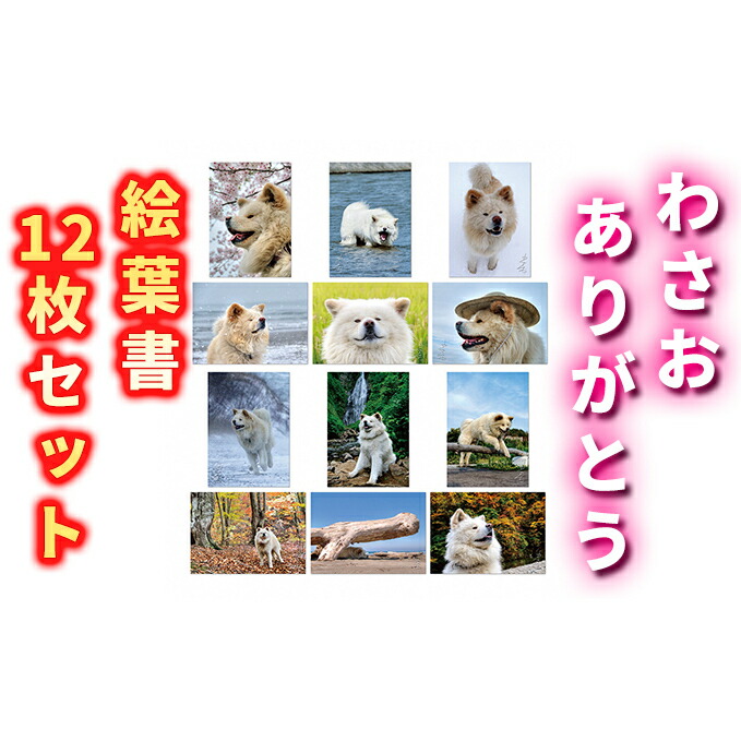 【ふるさと納税】わさお ありがとう 絵葉書12枚セット キャラクター 写真 はがき