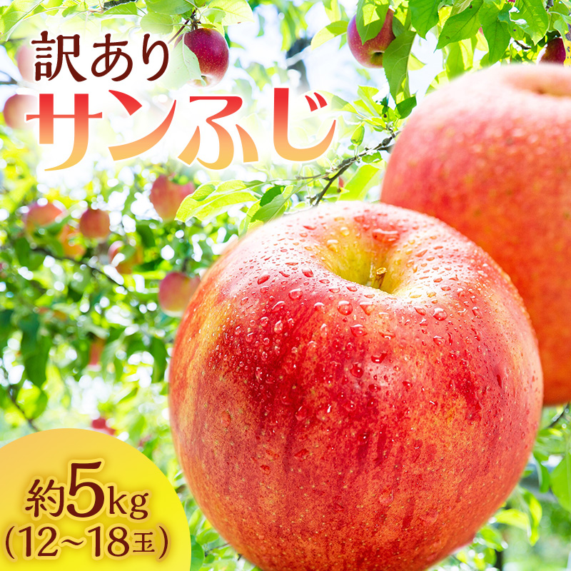 classificados.acheiusa.com - ふるさと納税 長野県 約900g〜1kg