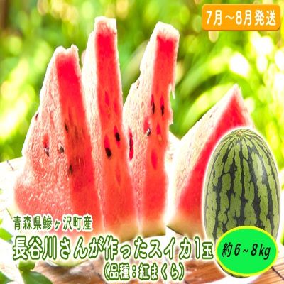 【ふるさと納税】【先行予約2025年産】長谷川さんが作ったスイカ 1玉 約6～8kg（品種：紅まくら）7月～8月発送　青森県鰺ヶ沢町産 果物類 7～8kg 　お届け：2025年7月25日～2025年8月31日