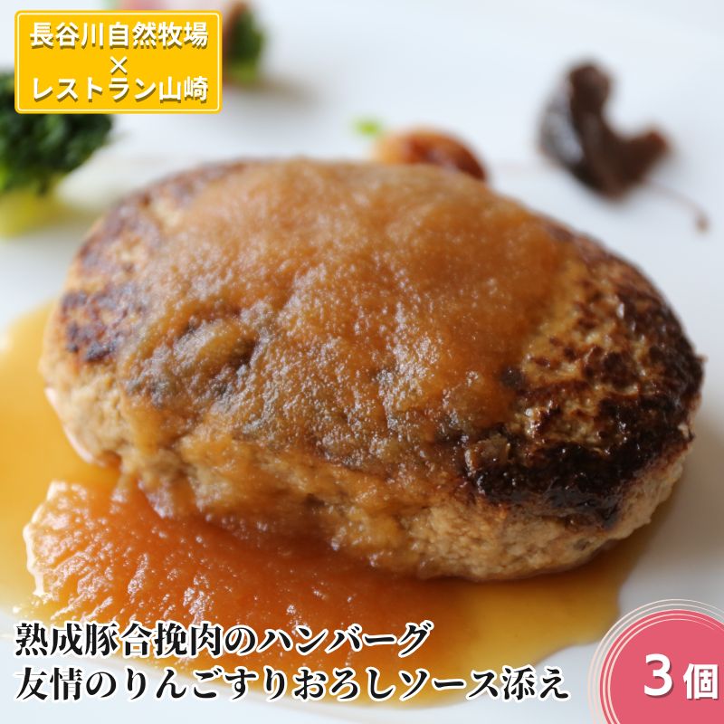 【ふるさと納税】ハンバーグ 熟成豚合挽肉のハンバーグ 3個 友情のりんごすりおろしソース添え セット 湯煎 温めるだけ レトルト 小分け 個包装 お試し 簡単 簡単調理 惣菜 おかず お弁当 弁当 時短 肉 お肉 熟成肉 豚肉 ギフト 贈答 冷凍 長谷川自然牧場産