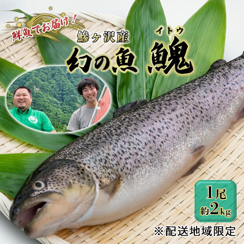 【ふるさと納税】鮮魚 幻の魚 イトウ 1尾 約2kg 魚 川魚 魚介 魚介類 海鮮 お刺身 刺し身 おかず おつまみ つまみ お酒のつまみ 酒のつまみ 幻 魚 青森 青森県 鰺ヶ沢町 ※配送地域限定