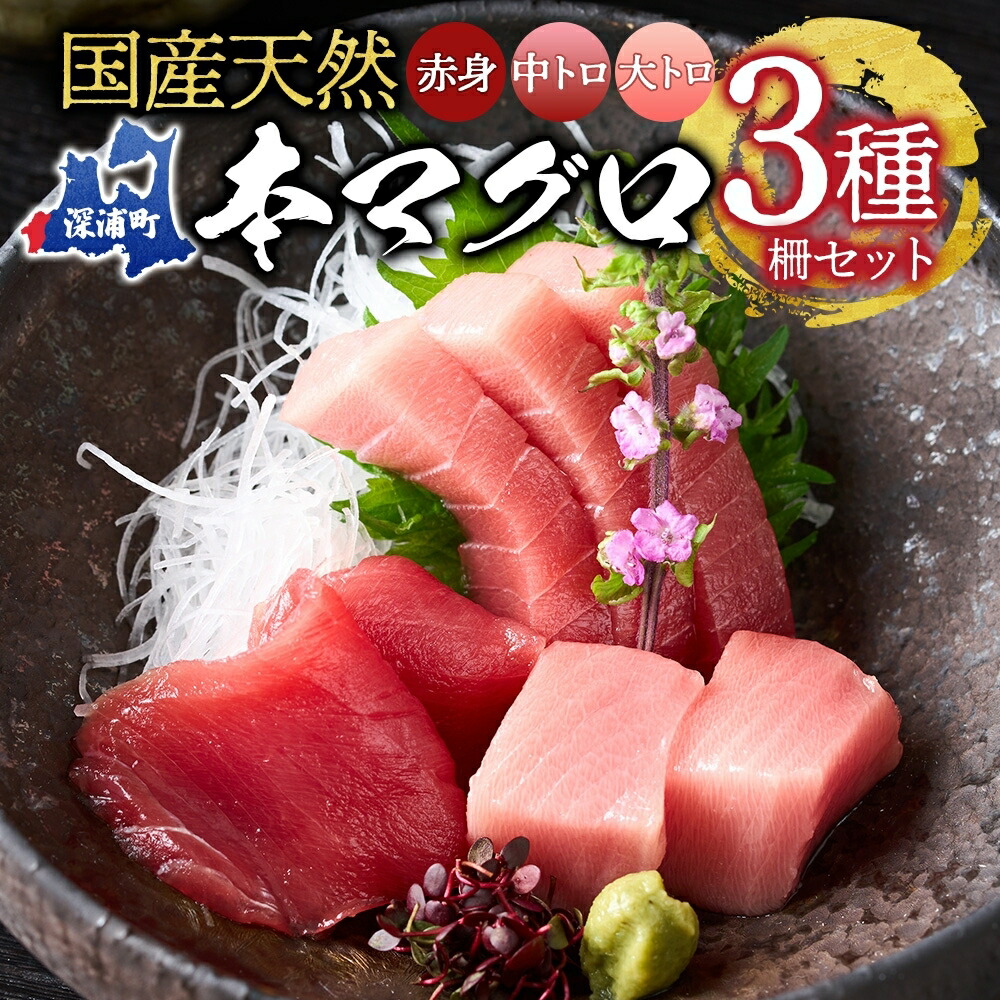 【ふるさと納税】天然 本マグロ 赤身 中トロ 大トロ 3種セット 国産 本鮪 まぐろ マグロ クロマグロ 鮪 刺身 丼ぶり 寿司 海鮮 魚介 贅沢 お取り寄せ 詰め合わせ グルメ 産地直送 送料無料 冷凍 あおもり海山 青森県 深浦町 魚貝類