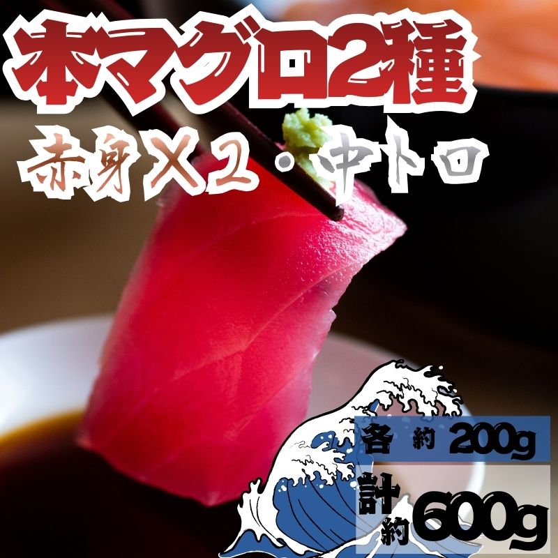 【ふるさと納税】【出荷時期：7月上旬～】本マグロ 赤身 2柵 中トロ 1柵 セット 国産 本鮪 まぐろ マグロ クロマグロ 鮪 刺身 丼ぶり 寿司 海鮮 魚介 贅沢 お取り寄せ 詰め合わせ グルメ 産地直送 送料無料 冷凍 道の駅