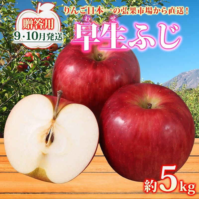 【ふるさと納税】りんご 【9月・10月発送】贈答用 早生ふじ 約5kg　リンゴ 林檎 青森りんご 糖度 13度 甘い 酸味 デザート フルーツ 果物 お取り寄せ 産地直送 旬 季節限定 弘果物流 青森県 西目屋村 西目屋村産　お届け：2026年9月上旬～10月下旬｜青森県西目屋村