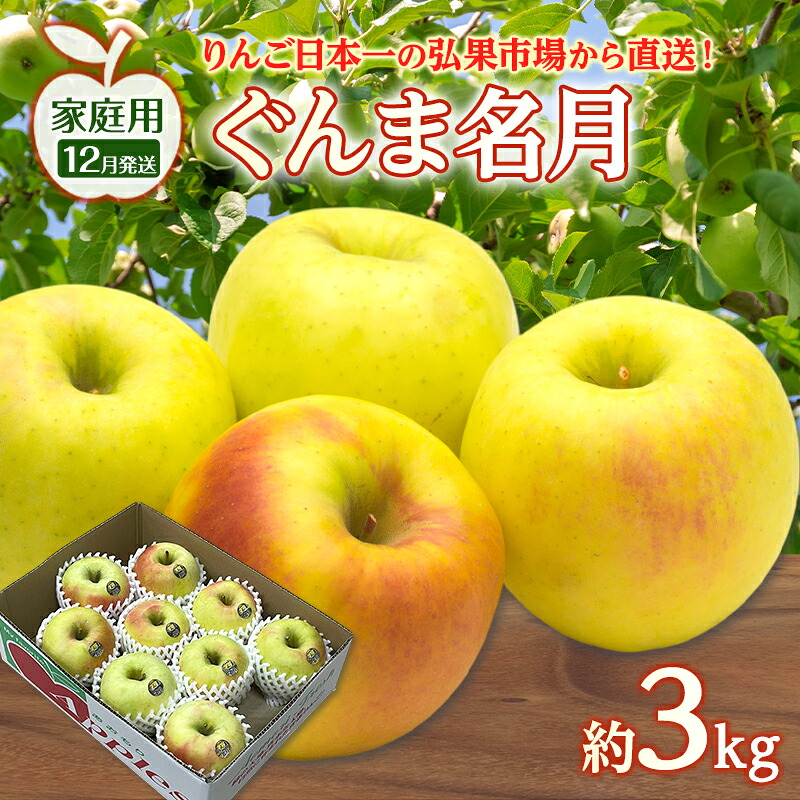 【ふるさと納税】りんご 【 12月発送 】 家庭用 ぐんま名月 約 3kg リンゴ 林檎 青森りんご 糖度 13度 甘い 酸味 デザート フルーツ 果物 お取り寄せ 産地直送 旬 季節限定 弘果物流 青森県 西目屋村 西目屋村産 お届け:2026年12月中|青森県西目屋村