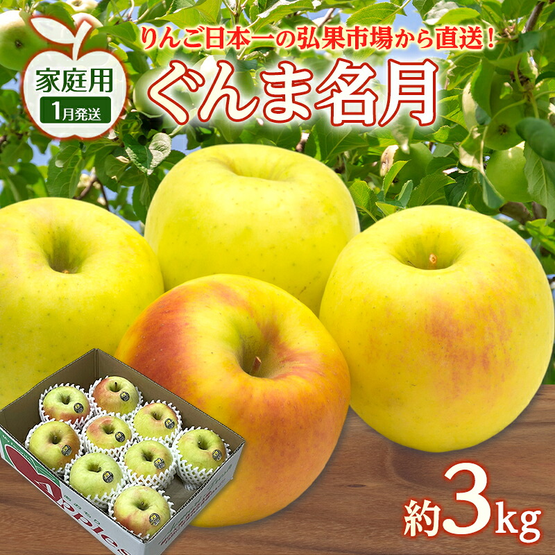 【ふるさと納税】りんご 【 1月発送 】 家庭用 ぐんま名月 約 3kg　リンゴ 林檎 青森りんご 糖度 13度 甘い 酸味 デザート フルーツ 果物 お取り寄せ 産地直送 旬 季節限定 弘果物流 青森県 西目屋村 西目屋村産　お届け：2027年1月中｜青森県西目屋村