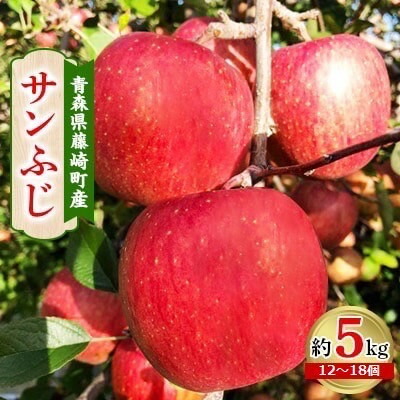 【ふるさと納税】青森県藤崎町産りんご　完熟サンふじ　家庭用　約5kg【配送不可地域：離島・沖縄県】【1110657】