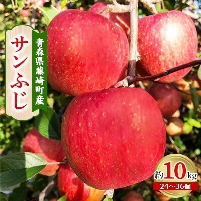 藤崎町産りんご サンふじ 家庭用 約10kg
