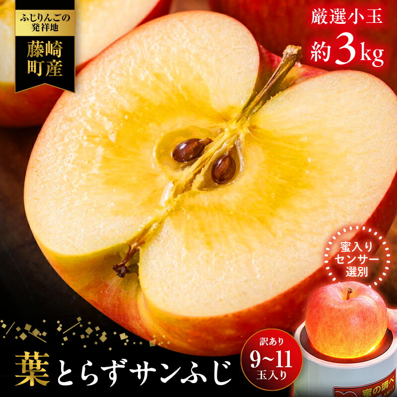 【ふるさと納税】【先行予約】葉とらずサンふじ 厳選 小玉 約3kg 【アップルアーク】 ご家庭用りんご 訳あり 青森リンゴ 青森林檎 青森県産 果物 フルーツ F41-0002｜青森県藤崎町