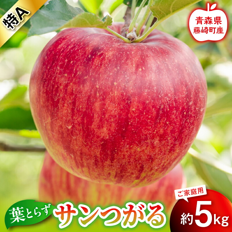 【ふるさと納税】【先行予約】葉とらず サンつがる 特A 家庭用 約5kg【グランドアップル】 青森りんご リンゴ 林檎 アップル 果物 くだもの フルーツ F41-0039|青森県藤崎町