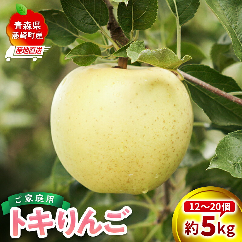 【ふるさと納税】訳あり トキ 家庭用 約5kg（12～20個）【前田農園】 青森りんご リンゴ 林檎 アップル 果物 くだもの フルーツ F41-0085｜青森県藤崎町