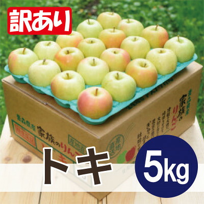 【ふるさと納税】【10月～11月発送予定】平均糖度12度以上! トキ 約5kg 訳あり【配送不可地域：離島・沖縄県】【1664904】