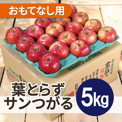 【ふるさと納税】【2026年10月発送予定】平均糖度12度以上! 葉とらずサンつがる 約5kg おもてなし用【配送不可地域：離島・沖縄県】【1667865】