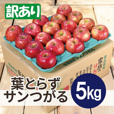 【ふるさと納税】【2026年9月発送予定】平均糖度12度以上! 葉とらずサンつがる 約5kg 訳あり【配送不可地域：離島・沖縄県】【1667869】