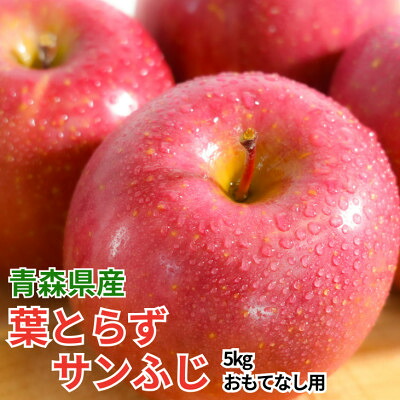 【ふるさと納税】【11月から順次発送】平均糖度13度以上! 葉とらずサンふじ 約5kg おもてなし用【配送不可地域：離島・沖縄県】【1667877】