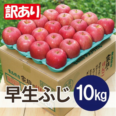 【ふるさと納税】【2026年10月発送予定】平均糖度12度以上! 早生ふじ 約10kg 訳あり【配送不可地域：離島・沖縄県】【1667886】