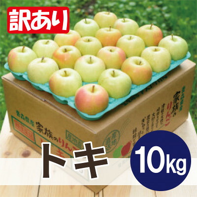 【ふるさと納税】【2027年1月から順次発送予定】平均糖度13度以上! トキ 約10kg 訳あり【配送不可地域：離島・沖縄県】【1667896】