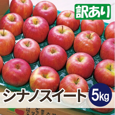 【ふるさと納税】【12月出荷予定】平均糖度13度以上! シナノスイート 約5kg 訳あり【配送不可地域：離島・沖縄県】【1667916】