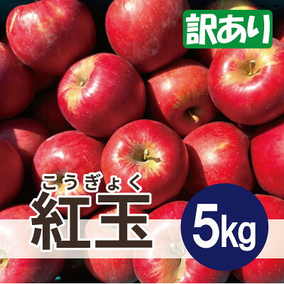 【ふるさと納税】【3月出荷予定】 紅玉 約5kg 訳あり【配送不可地域：離島・沖縄県】【1667980】