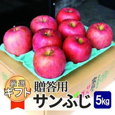 【ふるさと納税】平均糖度13度以上! サンふじ 約5kg 贈答用【配送不可地域：離島・沖縄県】【1667994】
